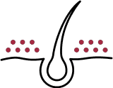 ilk-etki-image1